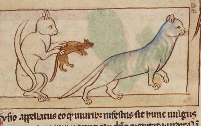 Legends That Prove Cats Have Always Been in Charge