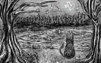 Autumn Lessons from a Black Cat