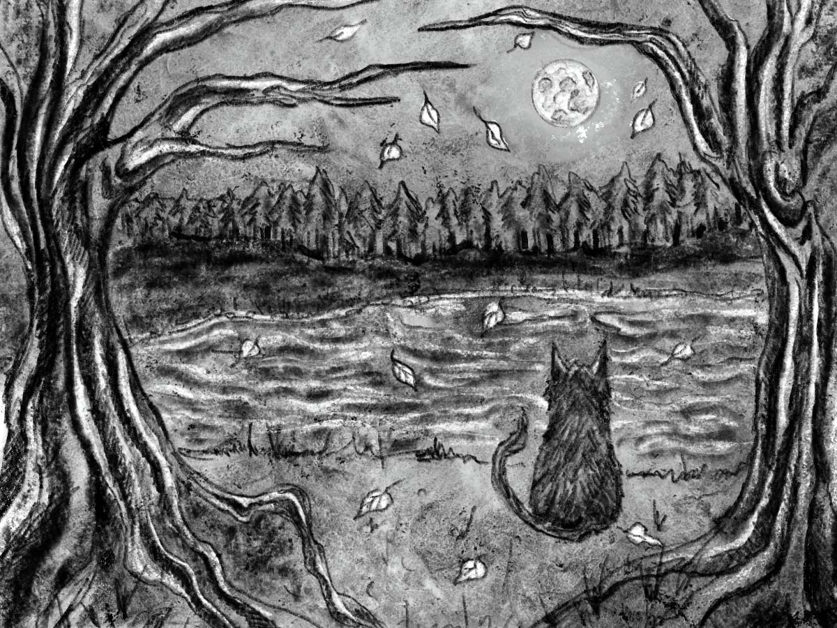 Autumn Lessons from a Black Cat Black cat sitting among amber autumn leaves, observing with sharp eyes—an example of darkly humorous cats in quiet, magical moments.