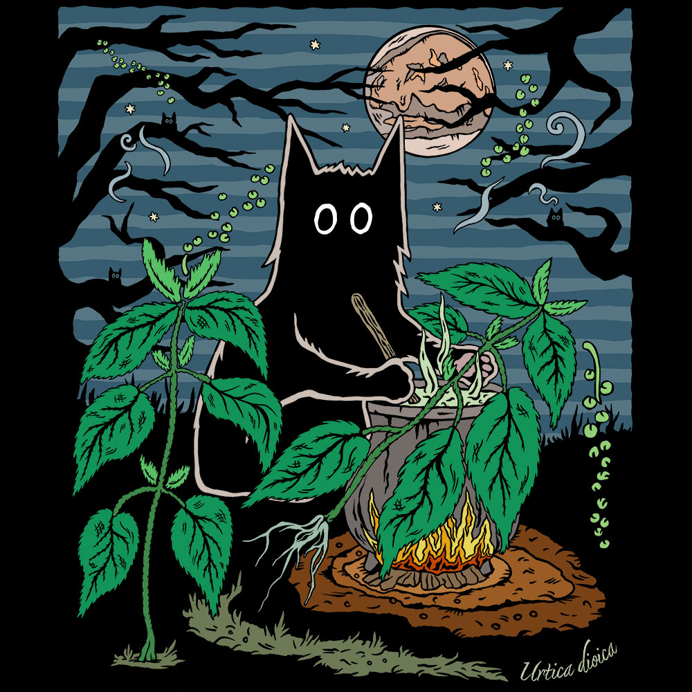 Illustration of a cat tending a pot of nettle under a Martian sky, set in a dark forest with a star-filled blue night background.
