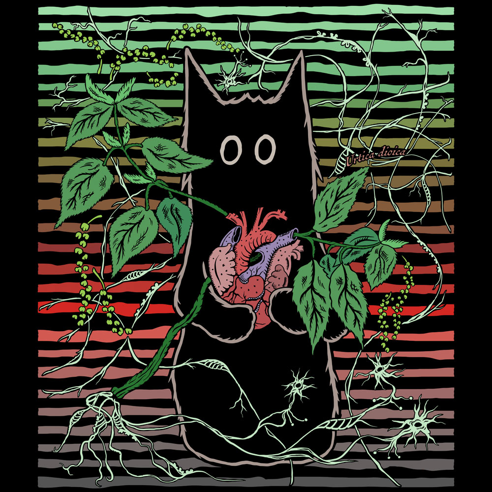 A stylized illustration of a cat holding a heart as nettle grows from it, branching into organic networks resembling roots, nervous system pathways, and skeletal fragments.